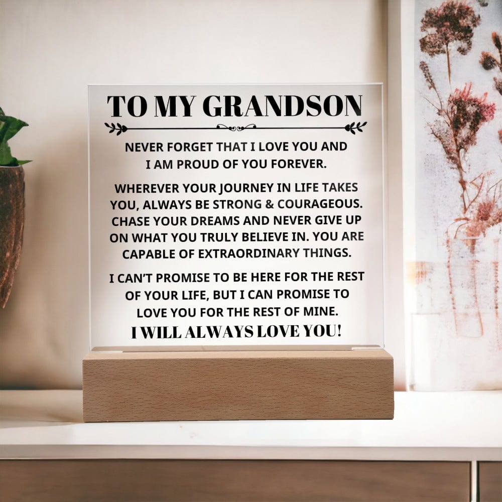 Grandson - Capable Of Extraordinary Things - Light Up Plaque Keepsake