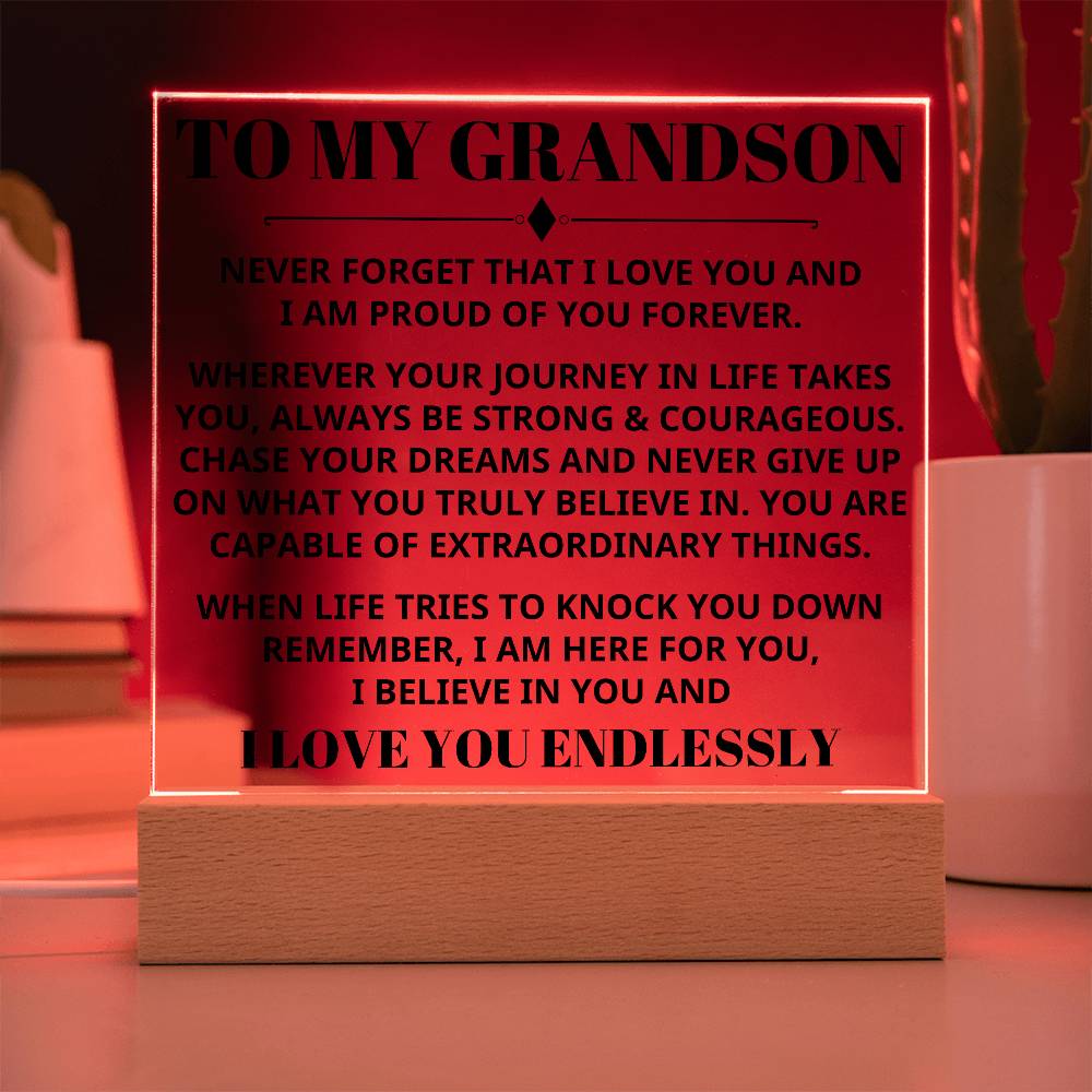 Grandson - Capable Of Extraordinary Things - Light Up Plaque Keepsake