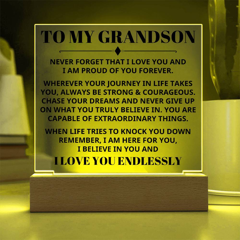 Grandson - Capable Of Extraordinary Things - Light Up Plaque Keepsake