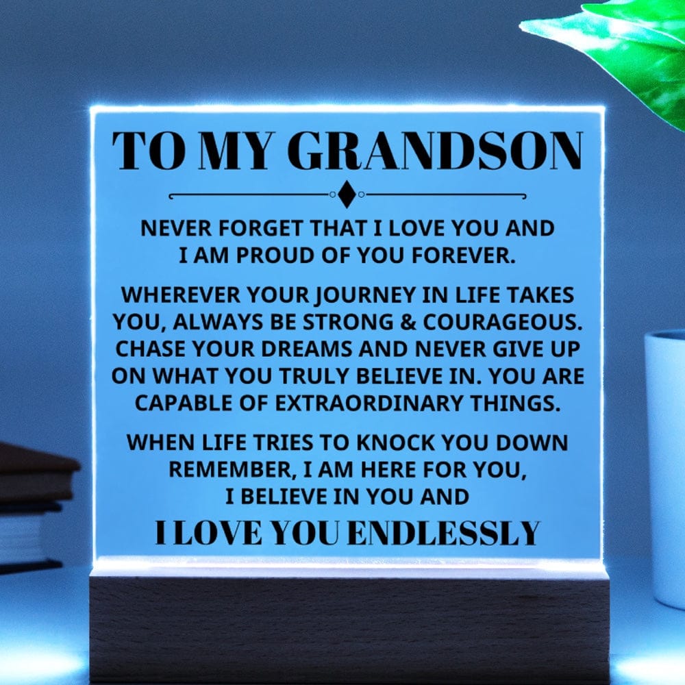 Grandson - Capable Of Extraordinary Things - Light Up Plaque Keepsake